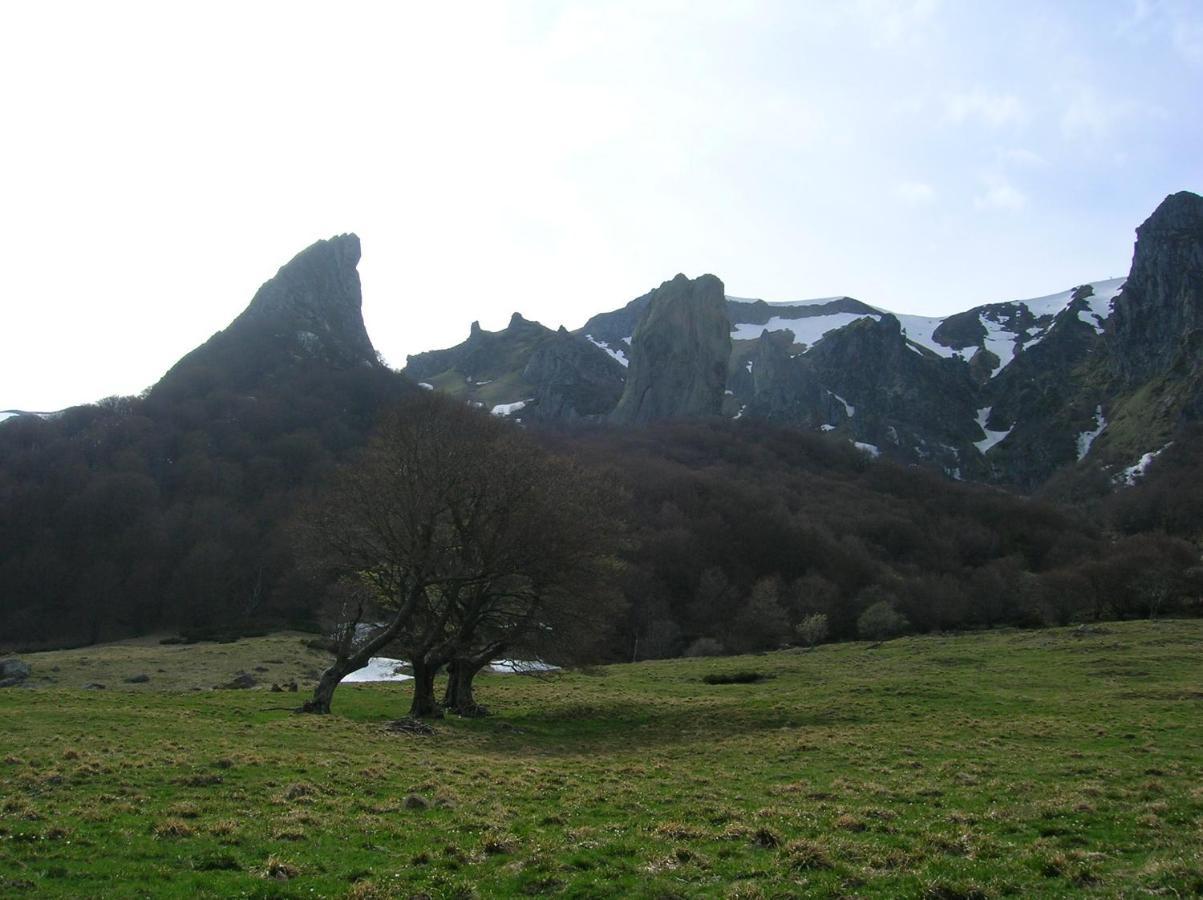 Bed and Breakfast La Cle Des Champs Murol Esterno foto